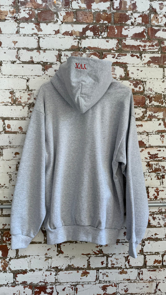 Orgasm Donor Hoodie (XL)