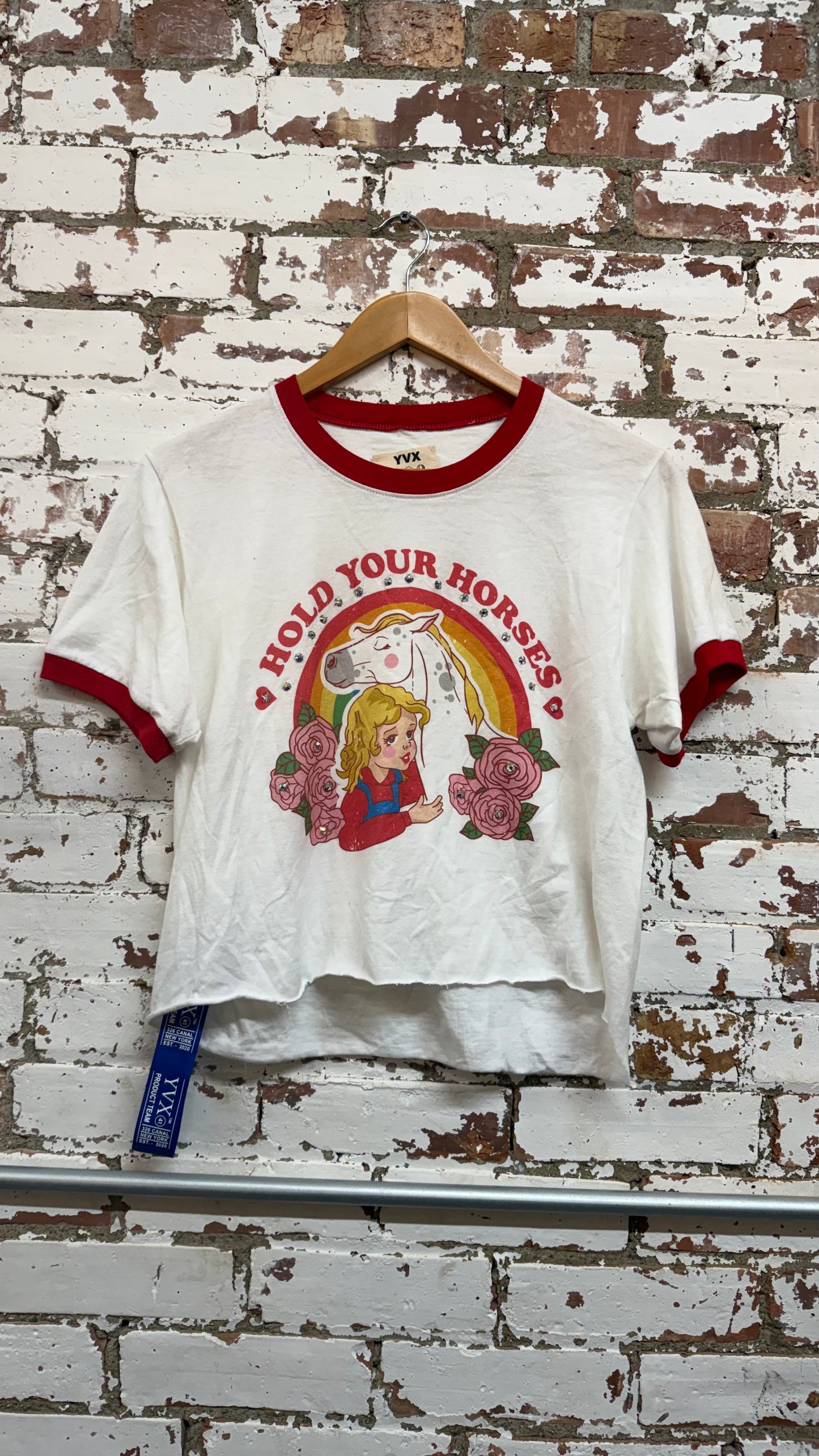 Hold your Horses Cropped Tee *Vintage (XS)