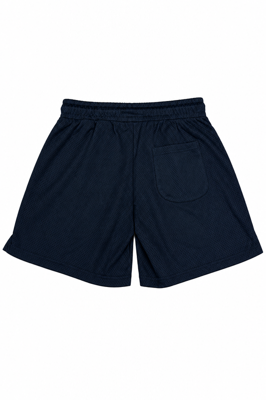 Mesh Shorts Black back
